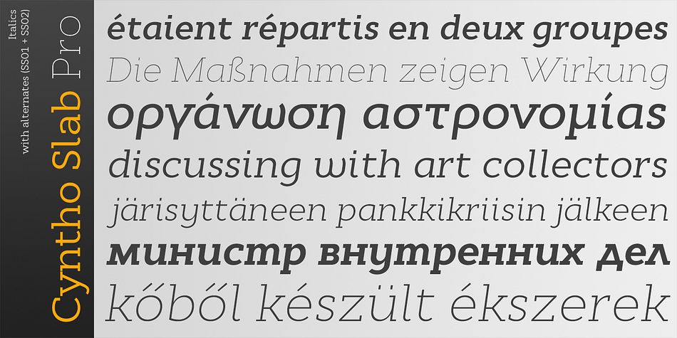 It offers optional upright and real italic forms, wrapped in OpenType stylistic alternates features, or stylistic set #02, where sets can be applied separately.