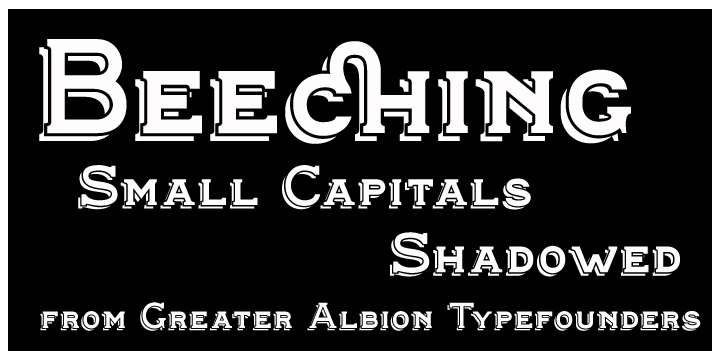 Highlighting the Beeching font family.