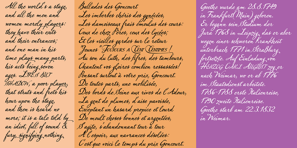 There are 7 different capital letters, some with different forms, some with swashes or underlining swings.