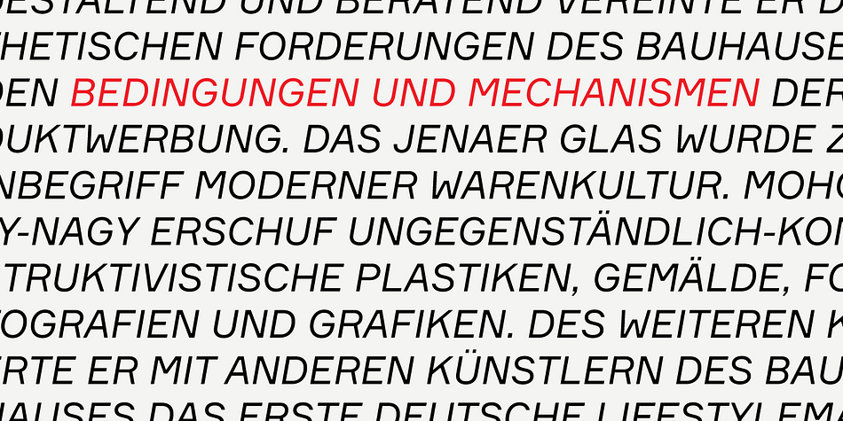 Formular comes in five weights with corresponding italics and a monospace companion to the regular weight.