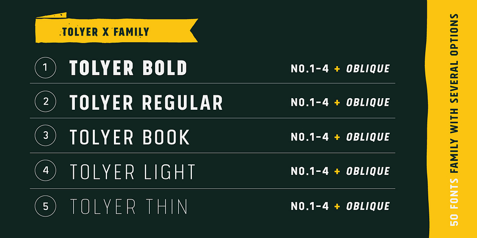 Highlighting the Tolyer font family.