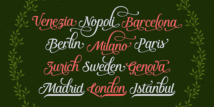 With almost 430 glyphs and 176 alternate characters, multiple language support, the choice of useful ligatures, swash and more.