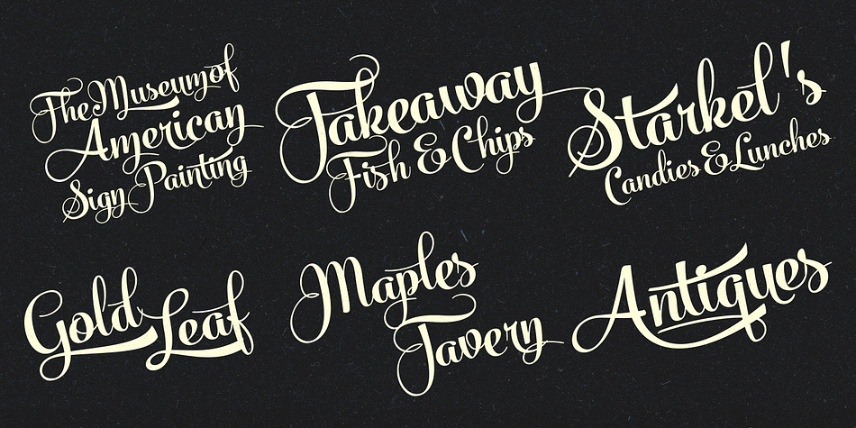 Displaying the beauty and characteristics of the Skipper font family.