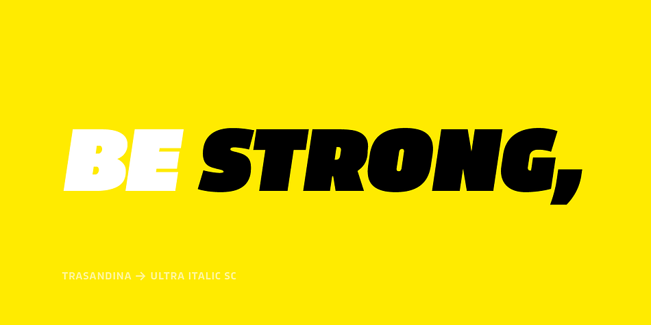 This typeface has 9 styles plus their matching italics, it has an incredible wide range of weights, from very thin to an ultra thick stem.