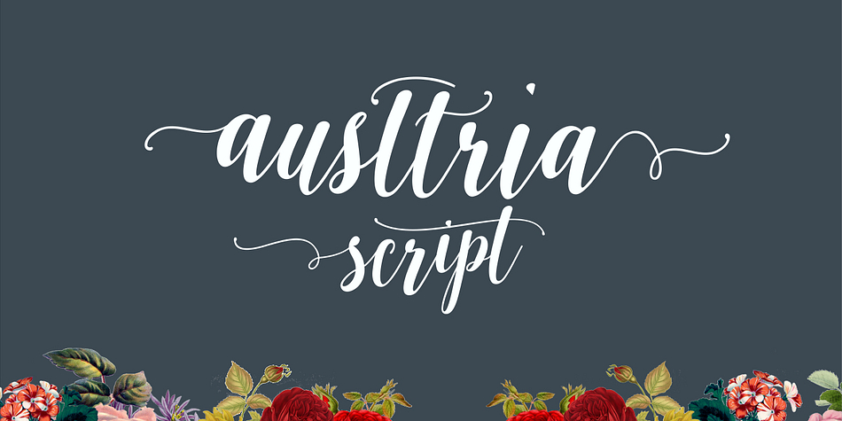 The new fonts Austtria Script & Austtria Letter are 2 types of modern calligraphy.