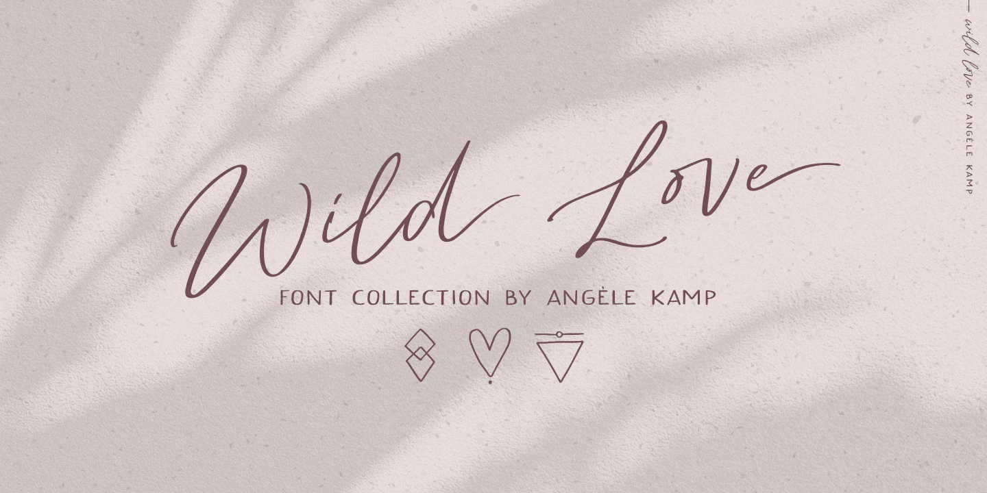 Wild Romance Font by dmletter31 · Creative Fabrica