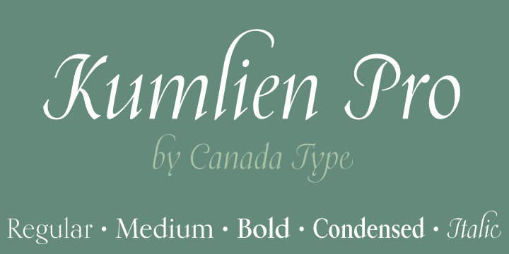 Kumlien Pro is the revival and expansion of a typeface designed in 1943 by Akke Kumlien, the famed Swedish book designer, poet, author, painter and arts materials expert.