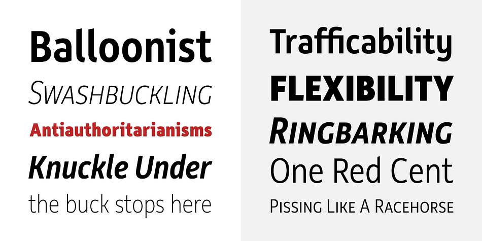 Displaying the beauty and characteristics of the Rehn Condensed font family.