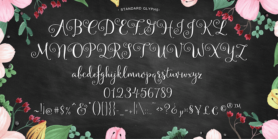 A modern spin on classic hand-lettered calligraphy.