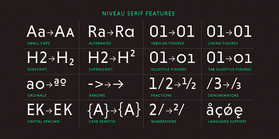 Niveau Serif is equipped for complex, professional typography with alternate letters, arrows, fractions and an extended character set to support Central and Eastern European as well as Western European Languages.