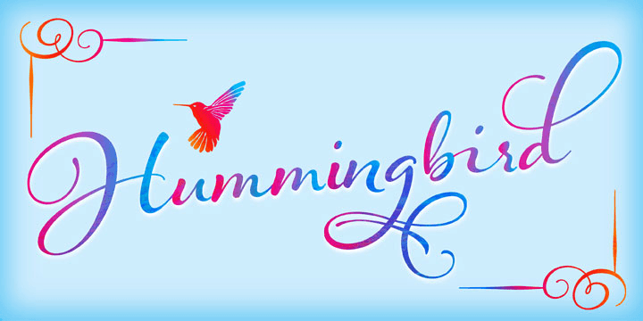 Emphasizing the popular Hummingbird font family.