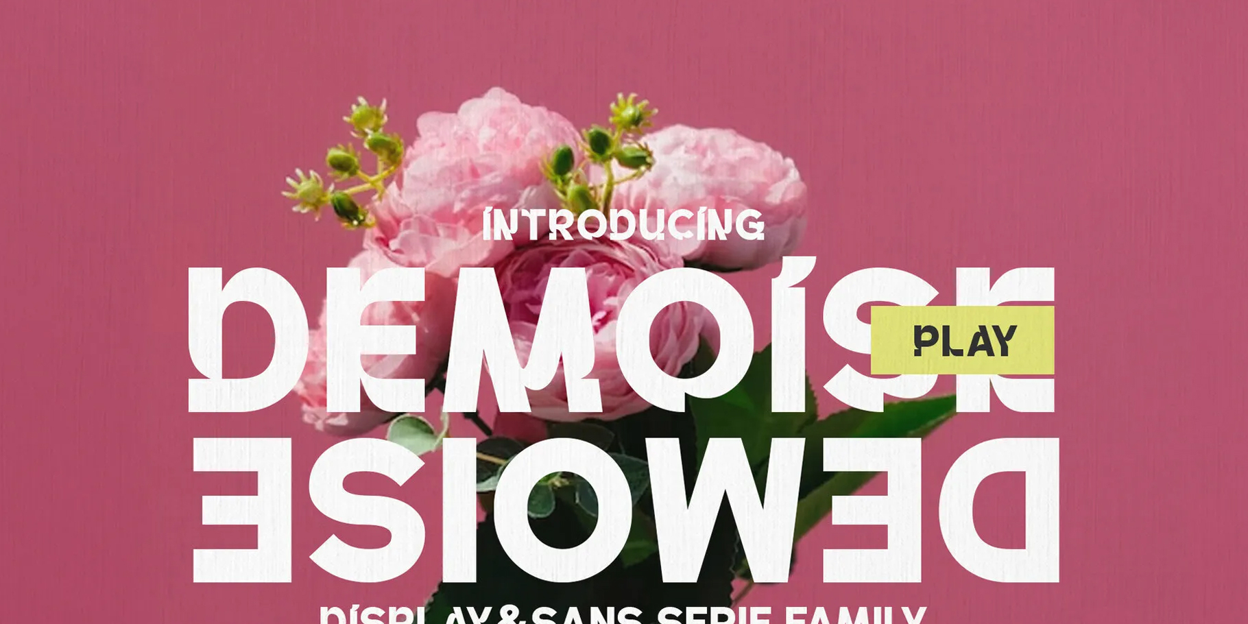 Demoise