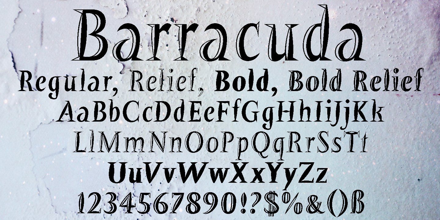 Barracuda
