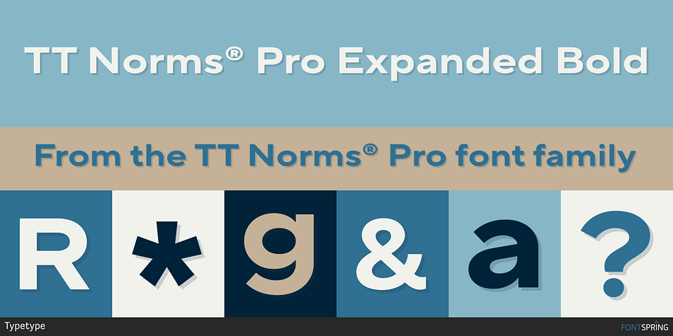TT Norms® Pro Expanded Bold Font