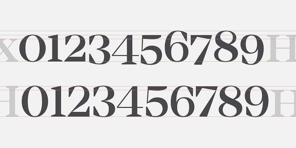 Displaying the beauty and characteristics of the Mirador font family.
