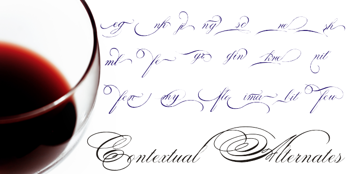 Spencerian Palmer Penmanship font family example.