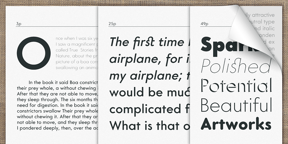 Emphasizing the popular Core Sans G font family.