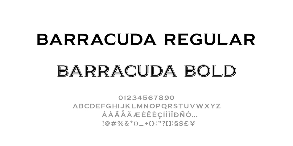 Barracuda Font